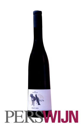 De Steinberg Ares Pinot Gris 2023 Wijn