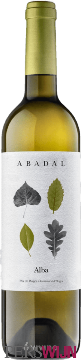 Abadal Alba 2024 Cataluña – Catalunya Pla de Bages
