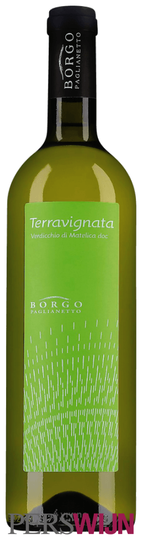 Borgo Paglianetto Terravignata Verdicchio di Matelica 2024 Marche Verdicchio di Matelica