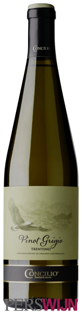 Concilio Trentino Pinot Grigio 2024 Trentino-Alto Adige Trentino