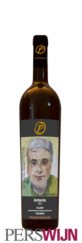 PERSEVERANZA Falerio Pecorino DOC 2023 ‘Antonio’ 2023 Marche Falerio dei Colli Ascolani