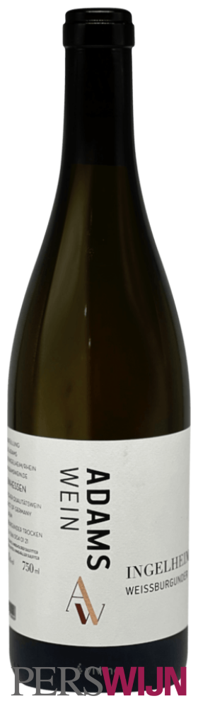 Adams Ingelheim Weissburgunder 2024 Rheinhessen Ingelheim