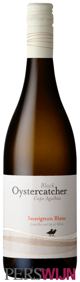 Black Oystercatcher Sauvignon Blanc 2025 Western Cape Cape South Coast