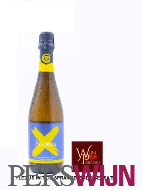 Plexus Frisante Branco 2020 Tejo Tejo