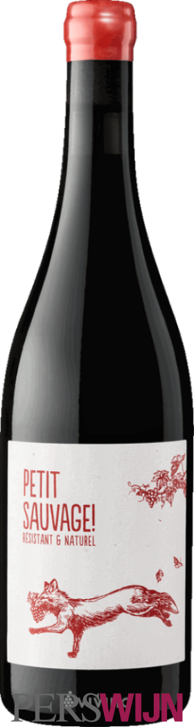 Pierre & Antonin Petit Sauvage Rouge 2024 Languedoc-Roussillon