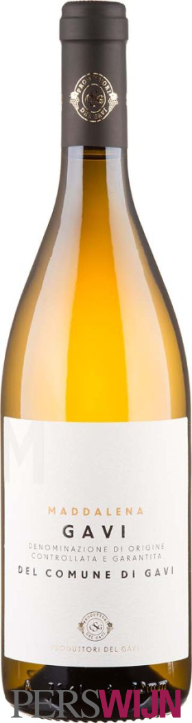 Produttori del Gavi Maddalena Gavi del Comune di Gavi 2024 Piemonte Gavi – Cortese di Gavi