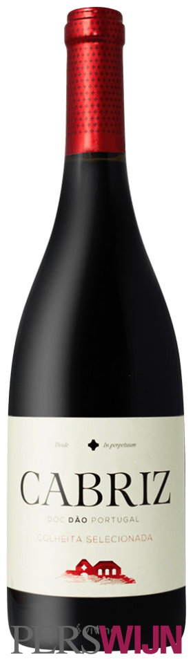 Cabriz Colheita Selecionada  2023 Dão Dão