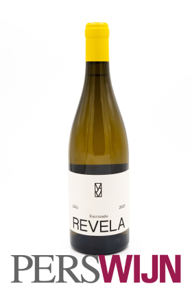 Mariana Salvador Vinhos Revela Encruzado 2023 Dão Dão