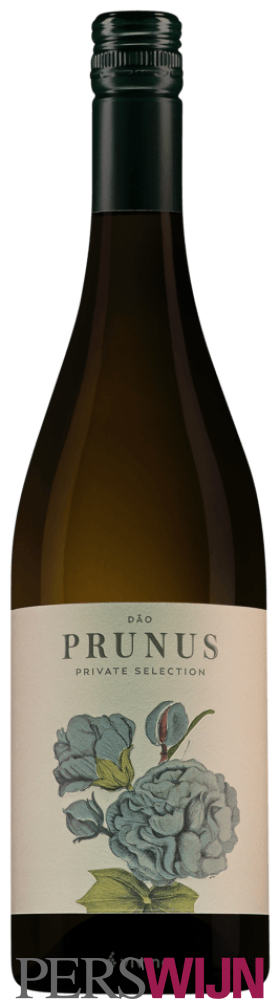 Prunus Private Selection Branco 2022 Dão
