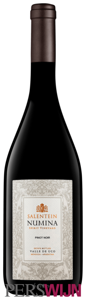 Salentein Numina Spirit Vineyard Pinot Noir 2022 Mendoza Uco Valley