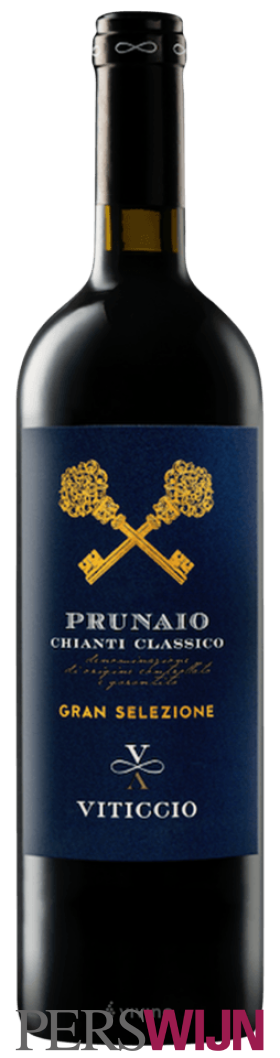 Viticcio Prunaio Chianti Classico Gran Selezione 2019 Toscana Chianti