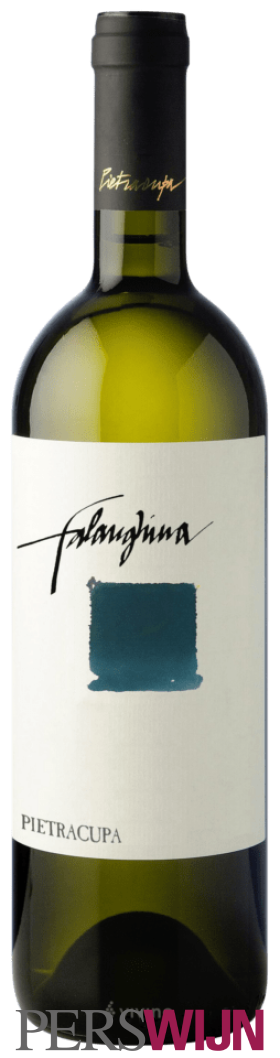 Pietracupa Falanghina 2024 Campania IGP Campania