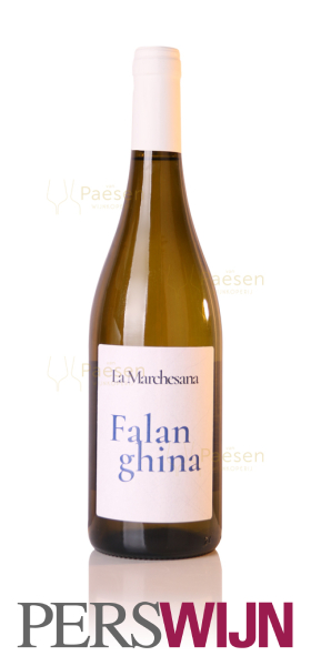 Polvanera La Marchesana Falanghina 2024 Puglia IGP Puglia
