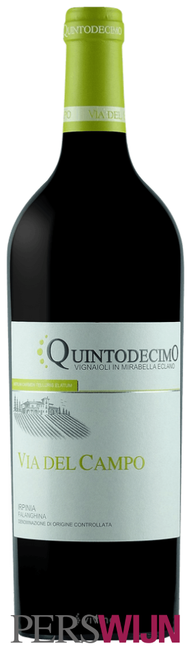 Quintodecimo Via del Campo Falanghina 2023 Campania Irpinia