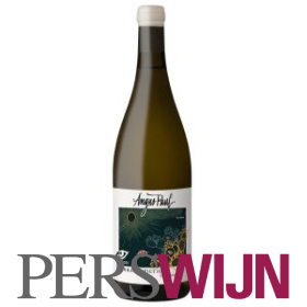 Angus Paul Barbary Fictions 2024 Western Cape Coastal Region