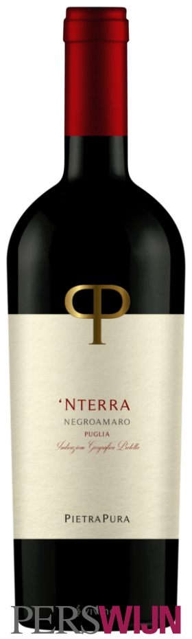 PietraPura ‘Nterra Negroamaro 2024 Puglia Puglia IGP