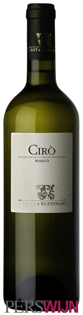 Tenuta Iuzzolini Cirò Bianco 2025 Calabria Cirò