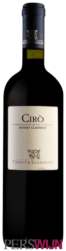 Tenuta Iuzzolini Cirò Rosso Classico 2023 Calabria Cirò