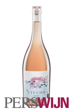 Strehn Seerosé 2025 Wein