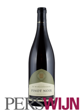 Wijngaardsberg Pinot Noir 2023 Limburg Mergelland