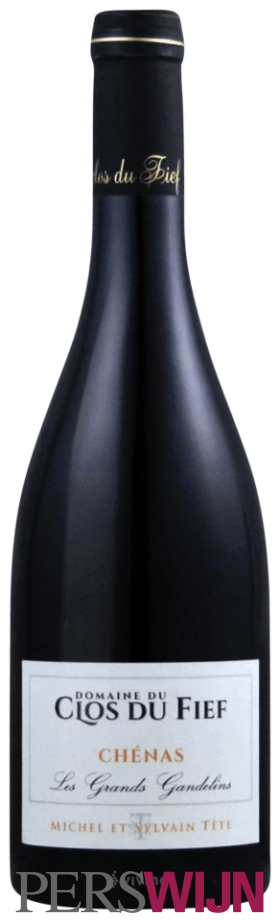 Domaine du Clos du Fief (Michel Tete) Chénas Les Grands Gandelins 2023 Beaujolais