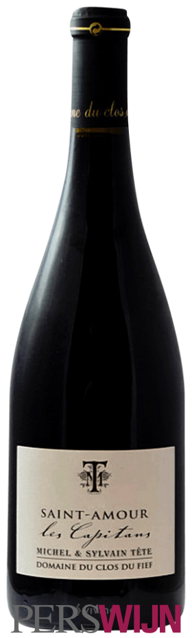 Domaine du Clos du Fief (Michel Tete) Les Capitans Saint-Amour 2024 Beaujolais