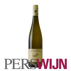 Lanius-Knab Riesling Feinherb 2023 Mittelrhein