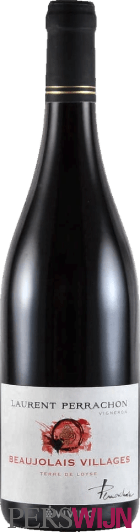 Laurent Perrachon Terre de Loyse Beaujolais-Villages 2025 Beaujolais  Beaujolais Villages
