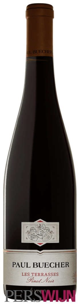 Paul Buecher Les Terrasses Pinot Noir 2022 Alsace