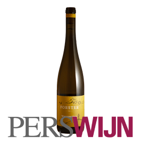 Weingut Forster Wüstenwanderer Riesling 2023 Nahe