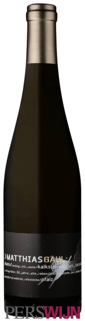 Matthias Gaul Steinrassel Riesling 2020 Pfalz