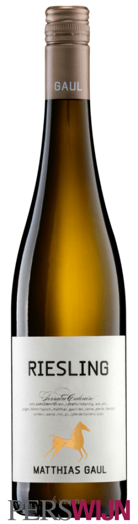 Matthias Gaul Terrain Calcaire Riesling 2025 Pfalz