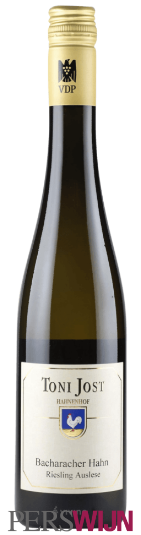 Weingut Toni Jost Bacharacher Hahn Riesling Auslese 2009 Mittelrhein Bacharach
