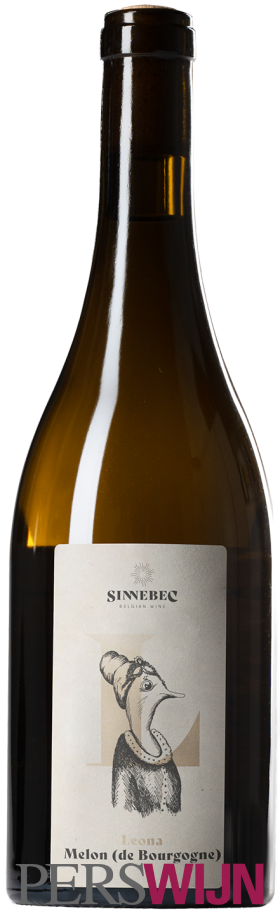 Den Nachtegael Leona – Melon De Bourgogne 2025 West Vlaanderen Heuvelland