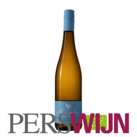 Weingut Schädler – Steffen Mugler Riesling Trocken 2025 Pfalz