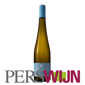 Weingut Schädler – Steffen Mugler Riesling Trocken, Heiligenberg Spontanvergoren 2021 Pfalz