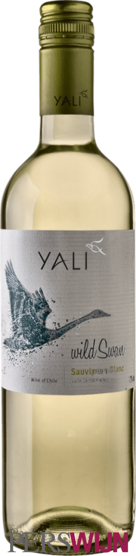 Yali Wild Swan Sauvignon Blanc 2025 Central Valley
