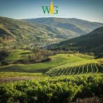 Wines of Galacia – Amsterdam