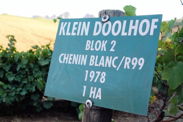 Chenin - Sfeer in Zuid-Afrika