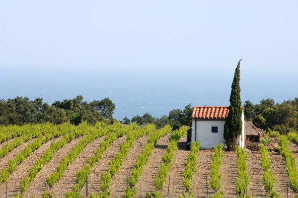 Collioure, Roussillon (Foto: CIVR)