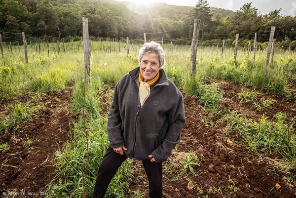 Elisabetta Fagiuoli, pionier van Vernaccia di San Gimignano (Foto: Monty Waldin)