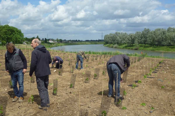 Wijngoed Aldeneyck (BE) aan de Maas (Foto: BeNeVit)