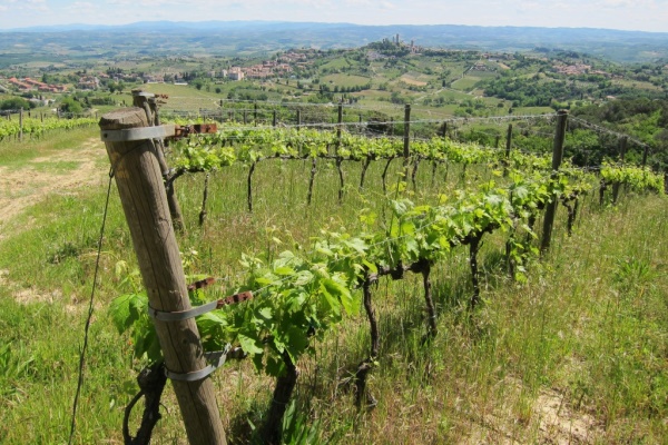 Uitzicht op San Gimignano vanaf Montenidoli (Foto: Luigi Wines)