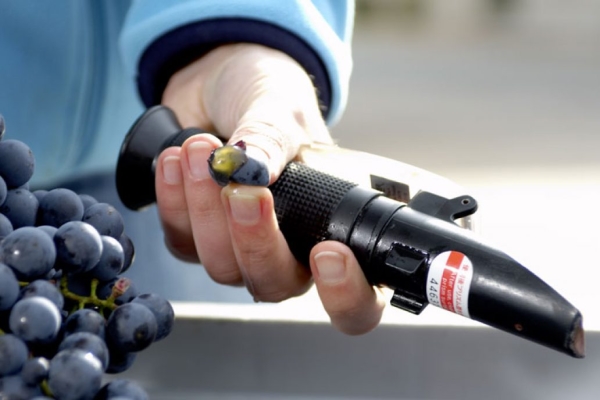 Refractometer om het mostgewicht te meten