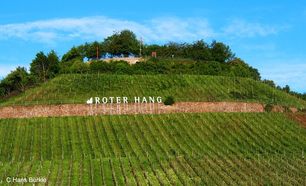 Roter Hang, Nierstein (foto: Hans Burkle)