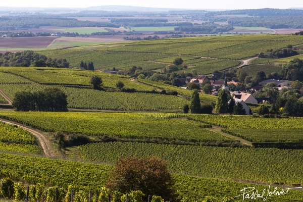 Sancerre